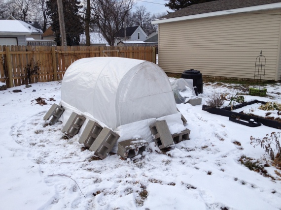 Snowy cold frame