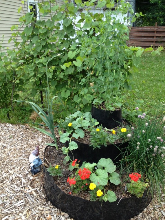 A nearby InstaBed with peas, cucumbers, cantaloupe, geraniums, garlic, marigolds, chives and calypso bush beans ... with lovage and a trellised grape vine in the background.